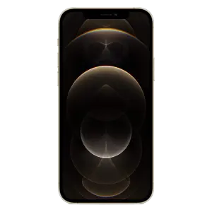 iphone-12-pro-max-(14).jpg