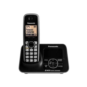 pansonic phone 444.jpg