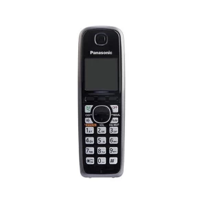 pansonic phone3.jpg