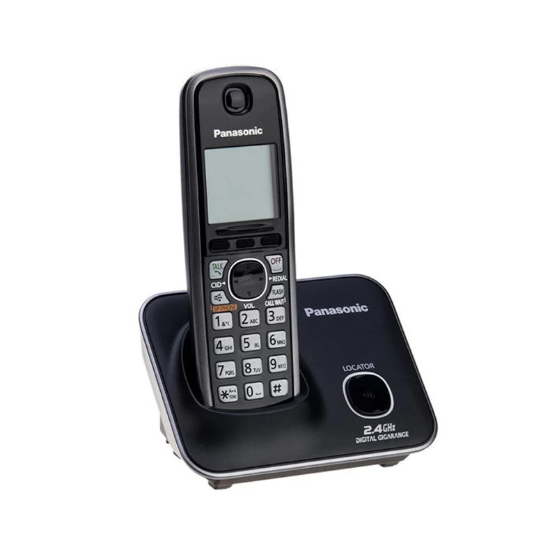 pansonic phone.jpg