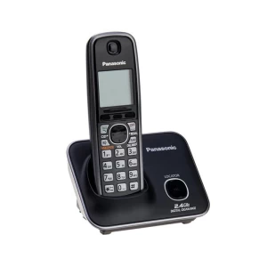 pansonic phone.jpg
