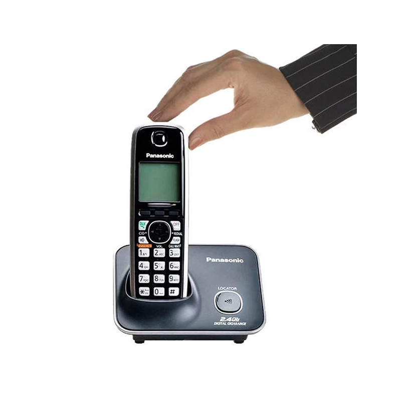 pansonic phone6.jpg